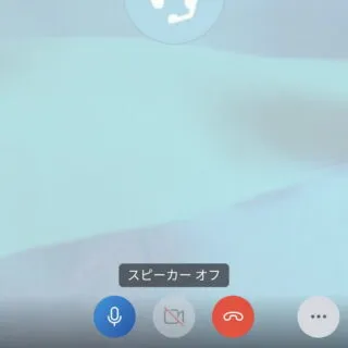 Androidアプリ→Skype→Echo / Sound Test Service