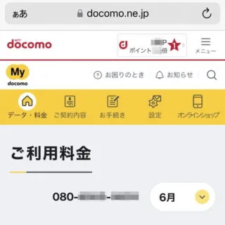 Web→Mydocomo→ご利用料金