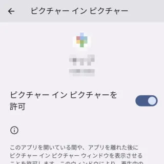 Pixel→Android 13→設定→アプリ→特別なアプリアクセス→ピクチャー イン ピクチャー