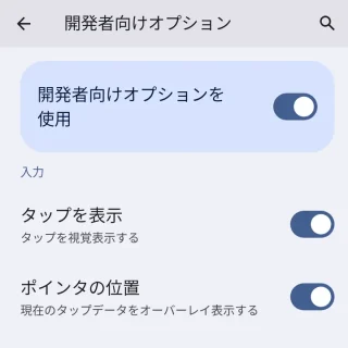 Pixel→設定→開発者向けオプション→入力