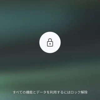 Android 14→ロック画面→ロックダウン
