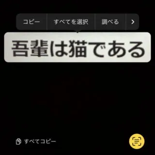 iPhoneアプリ→カメラ→Live Text