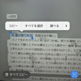 iPhoneアプリ→写真→Live Text