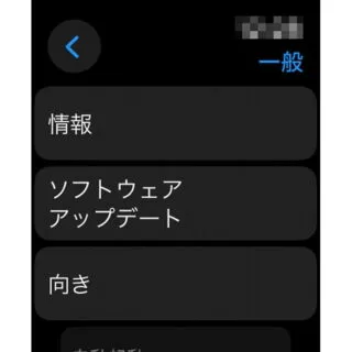 Apple Watch→watchOS 10→設定→一般
