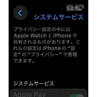 Apple Watch→watchOS 10→設定→プライバシーとセキュリティ→位置情報サービス→システムサービス