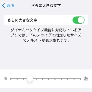 iPhone→設定→アクセシビリティ→画面表示とテキストサイズ→さらに大きな文字