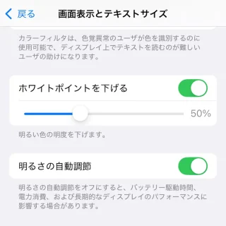 iPhone→設定→アクセシビリティ→画面表示とテキストサイズ