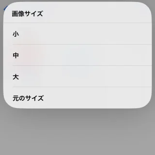 iPhone→ファイルアプリ→このiPhone内→画像→選択済み→ファイルフォーマット→画像サイズ