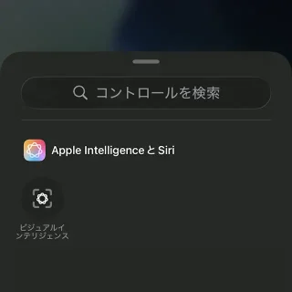 iPhone→コントロールセンター→コントロールを追加→ビジュアルインテリジェンス