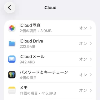 iPhone→設定→Apple Account→iCloud→iCloudに保存済み→すべて見る