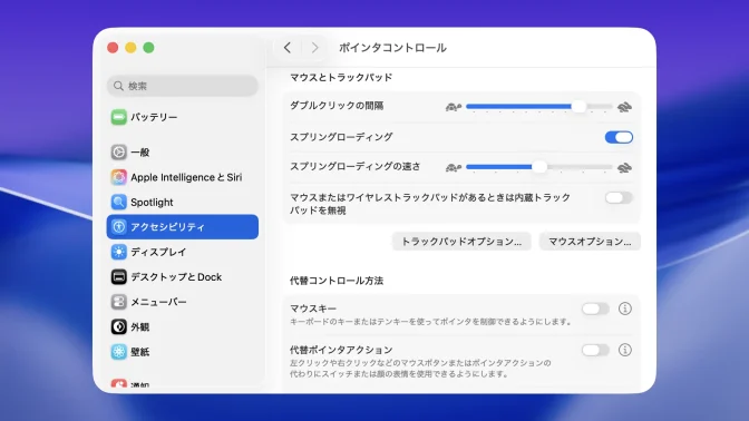 Mac→システム設定→アクセシビリティ→ポインタコントロール