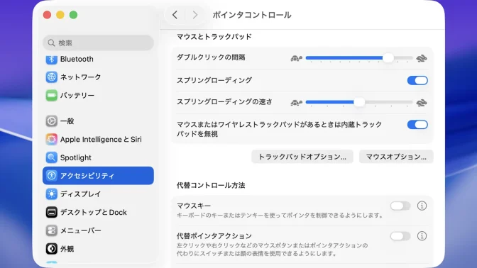 Mac→システム設定→アクセシビリティ→ポインタコントロール