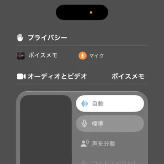 iPhone→コントロールセンター→プライバシー→マイクの使用中