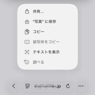 iPhoneアプリ→Safari→画像→メニュー