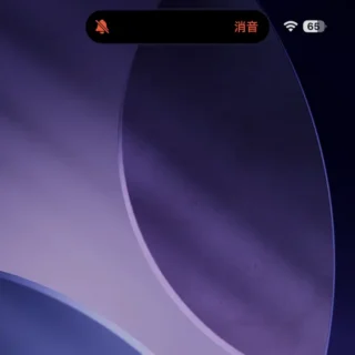 iPhone→Dynamic Island→アクションボタン→消音