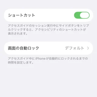 iPhone→設定→アクセシビリティ→アクセスガイド→その他の項目
