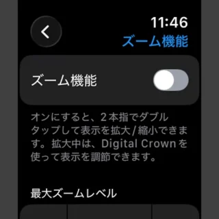 Apple Watch→設定→アクセシビリティ→ズーム機能