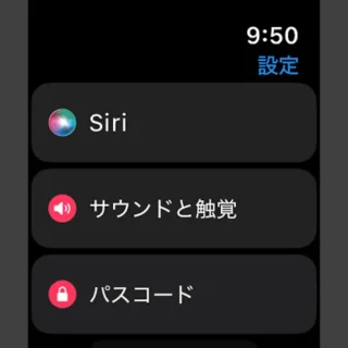 Apple Watch→設定