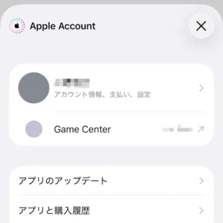 iPhone→App Store→Apple Account