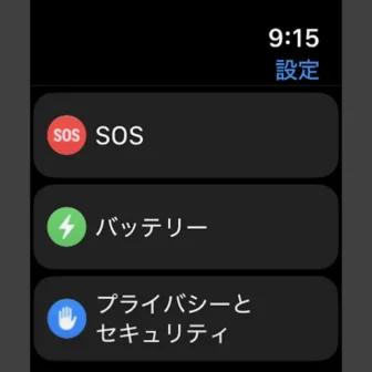 Apple Watch→設定