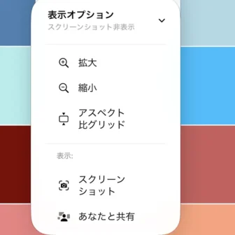iPhoneアプリ→写真→ライブラリ→フィルタ→表示オプション