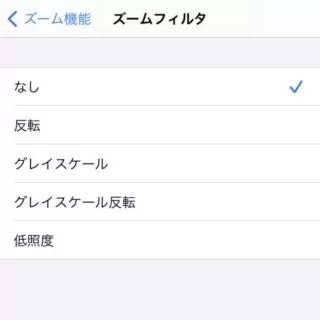 iPhone→iOS14→設定→アクセシビリティ→ズーム→ズームフィルタ